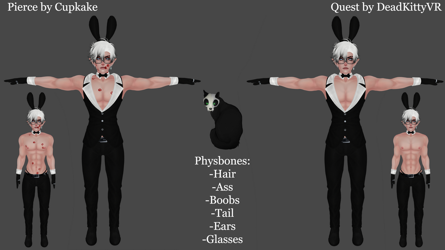 Pierce(PC/QUEST/GREEN Opti/SPS/GoGo)【LIMITED MODEL】